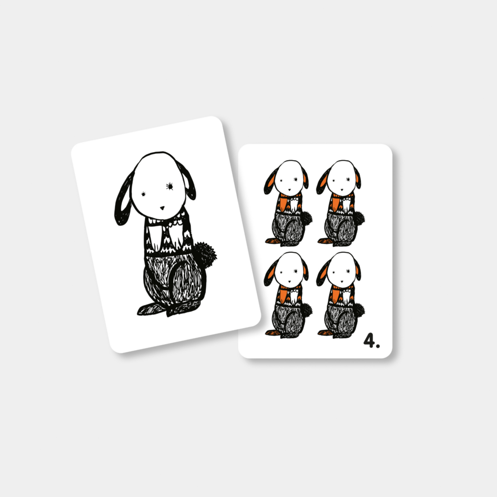 Flash Cards Farm Mini Coco