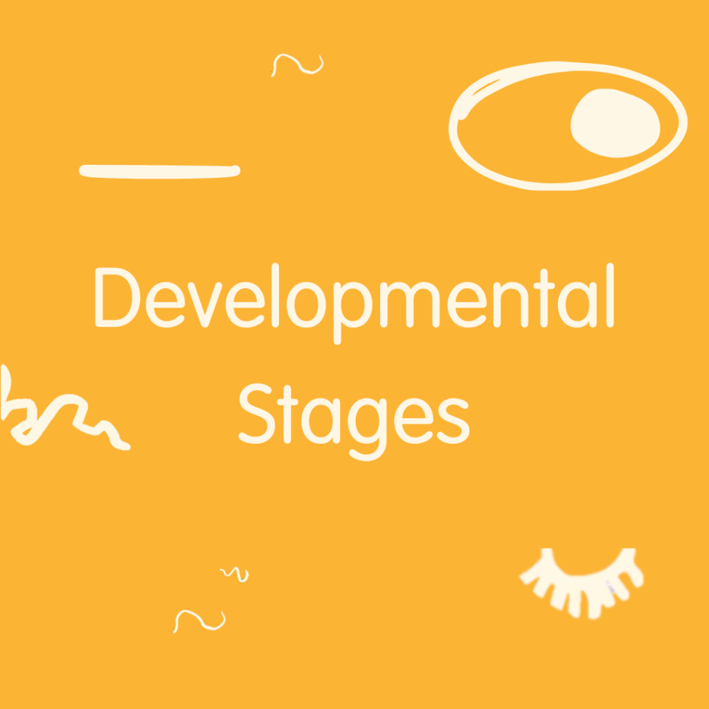 De verschillende ontwikkelingsfase van de eerste maanden van een baby.