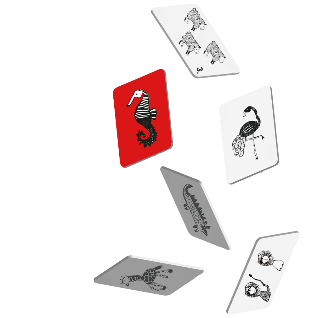 Mini Coco zeepaard kijkkaarten hoog contrast zwart wit baby speelgoed losse kaarten